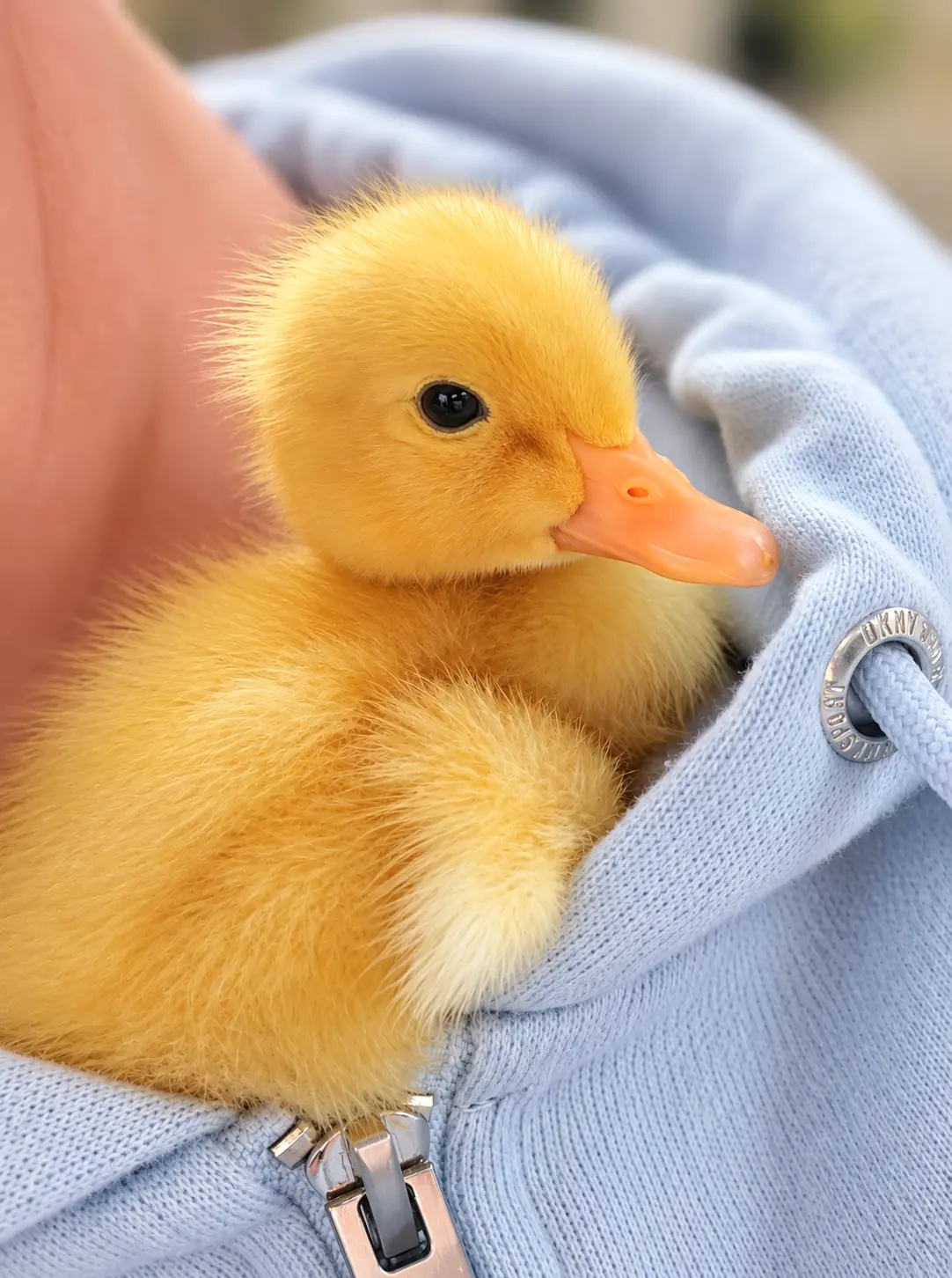 Real-life photo of Sunny, the animal who inspired Sunny, WAIT!